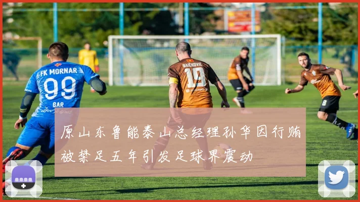 原山东鲁能泰山总经理孙华因行贿被禁足五年引发足球界震动