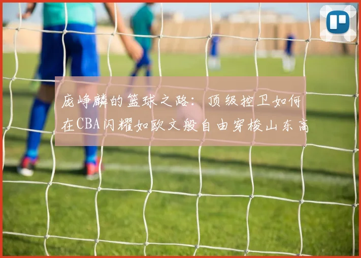 庞峥麟的篮球之路：顶级控卫如何在CBA闪耀如欧文般自由穿梭山东高速